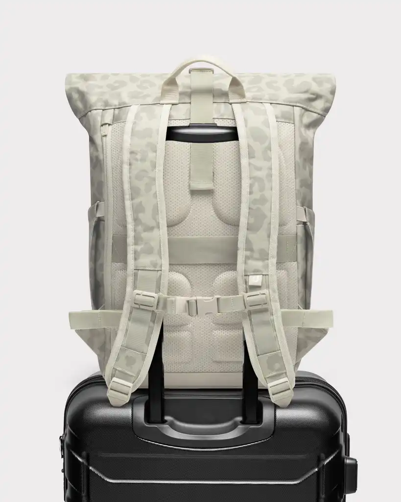 Rolltop Backpack "Allen Medium 2.0"