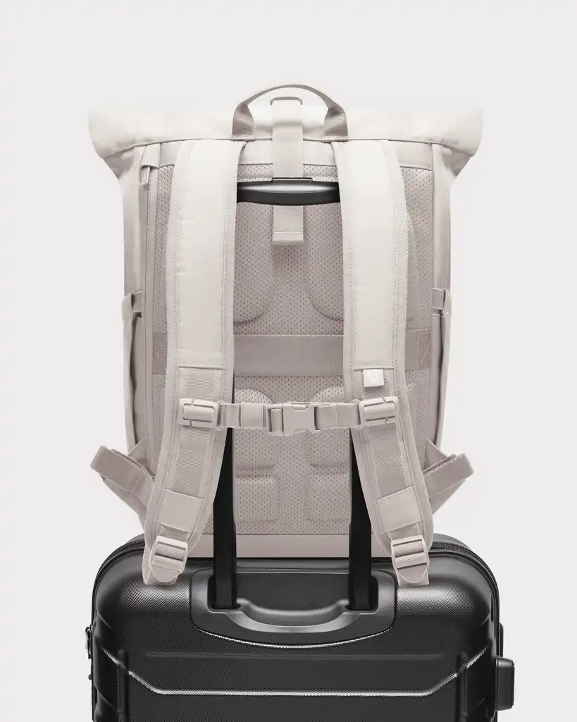 Rolltop Backpack "Allen Medium 2.0"