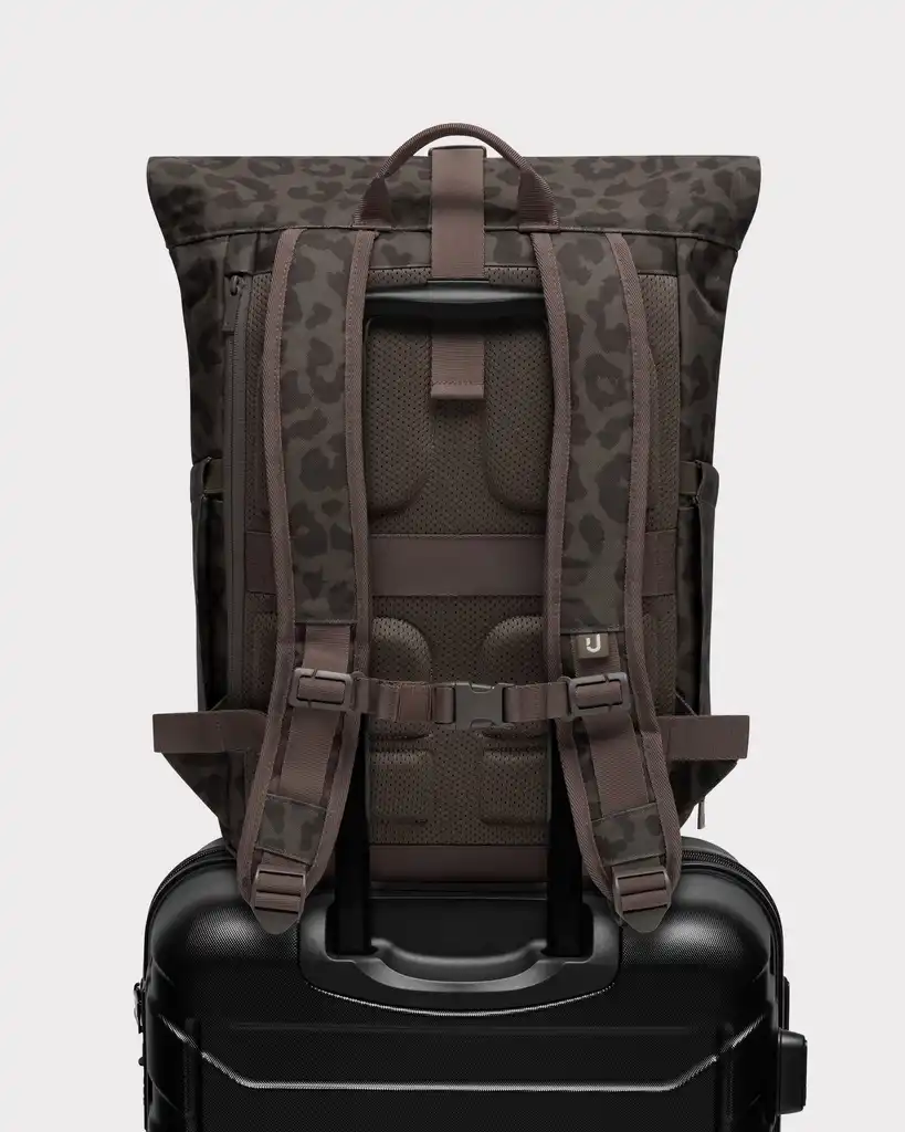 Rolltop Backpack "Allen Medium 2.0"