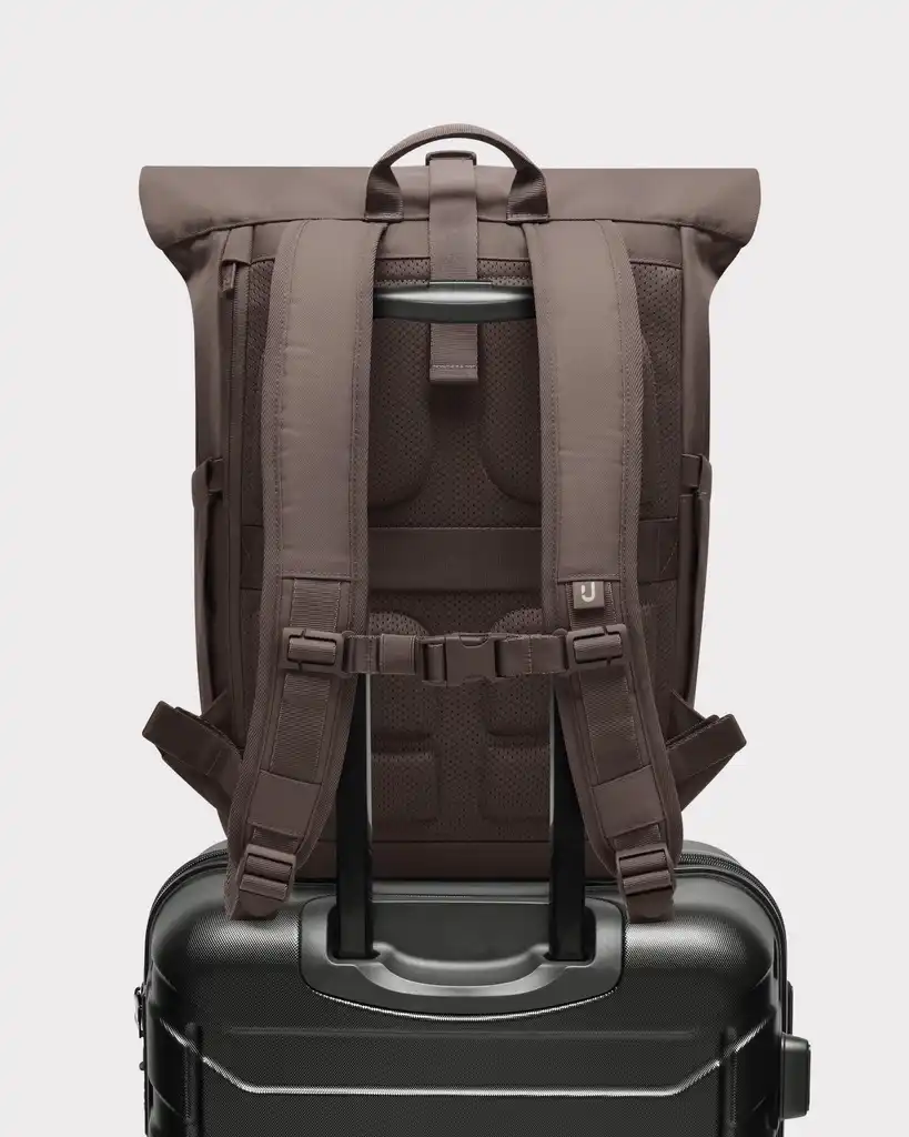 Rolltop Backpack "Allen Medium 2.0"