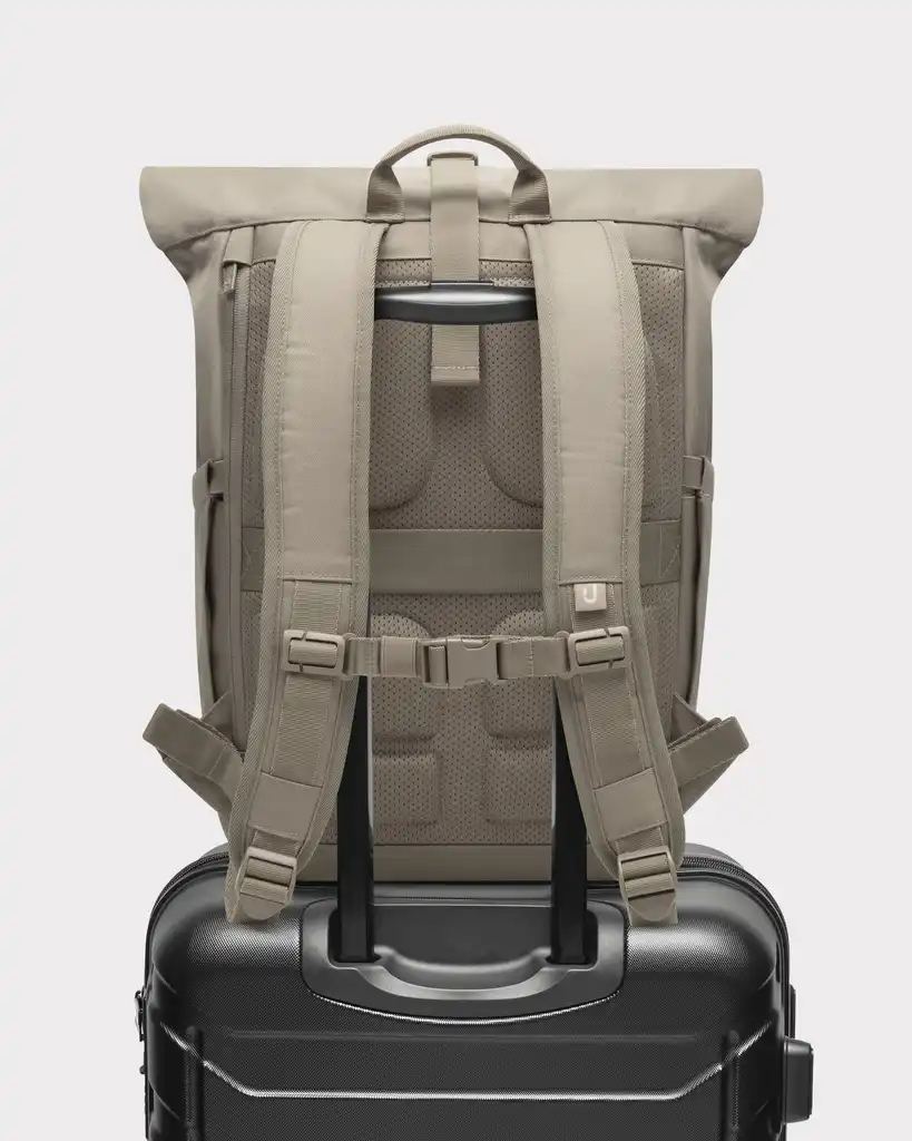Rolltop Backpack "Allen Medium 2.0"