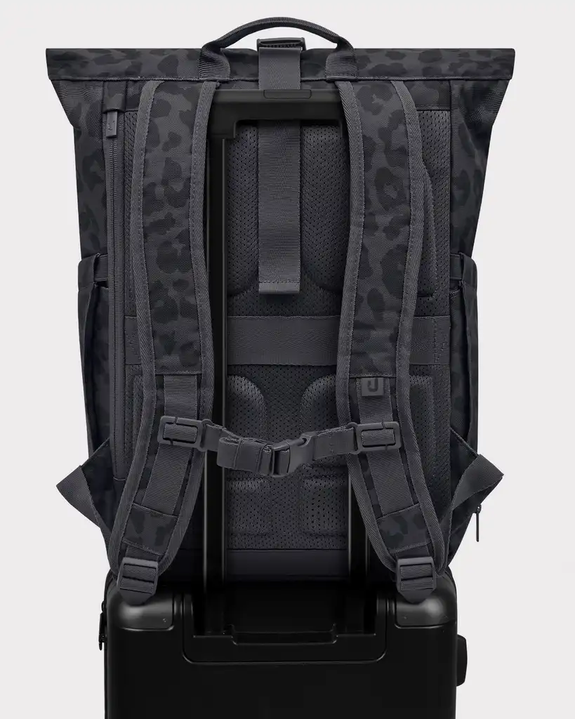 Rolltop Backpack "Allen Medium 2.0"
