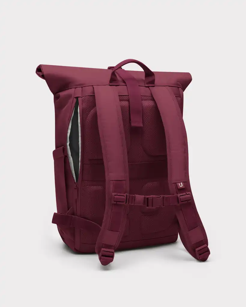 Rolltop Backpack "Allen Medium 2.0"
