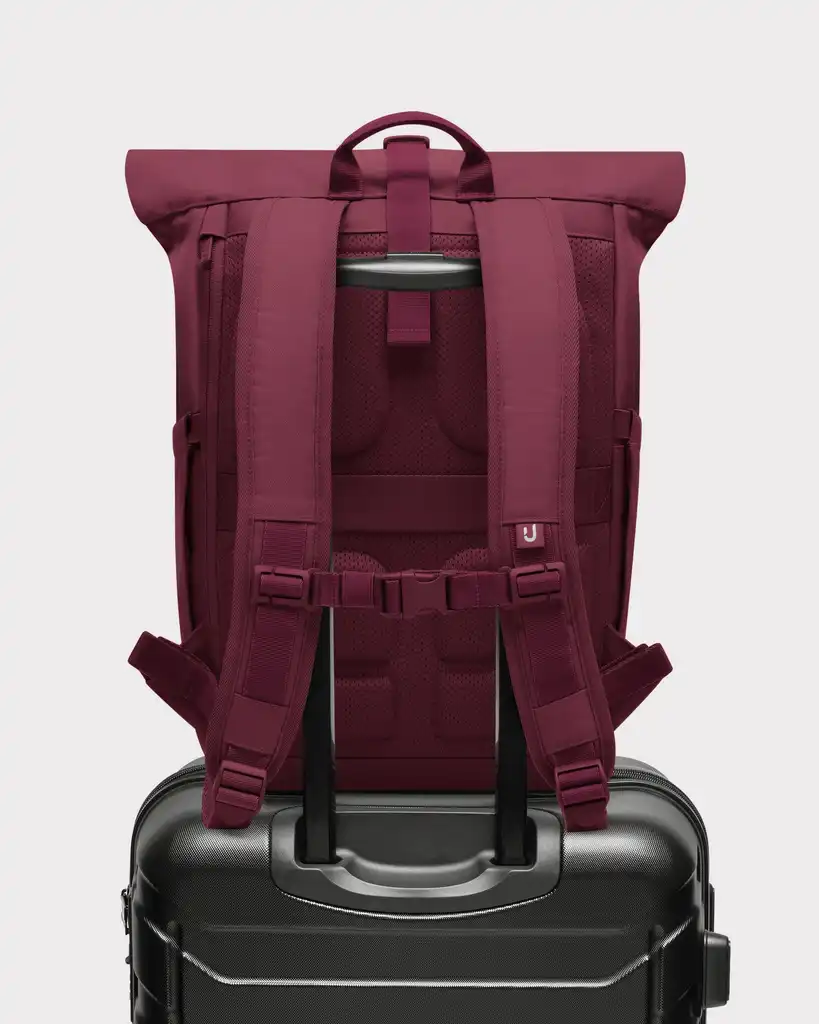 Rolltop Backpack "Allen Medium 2.0"
