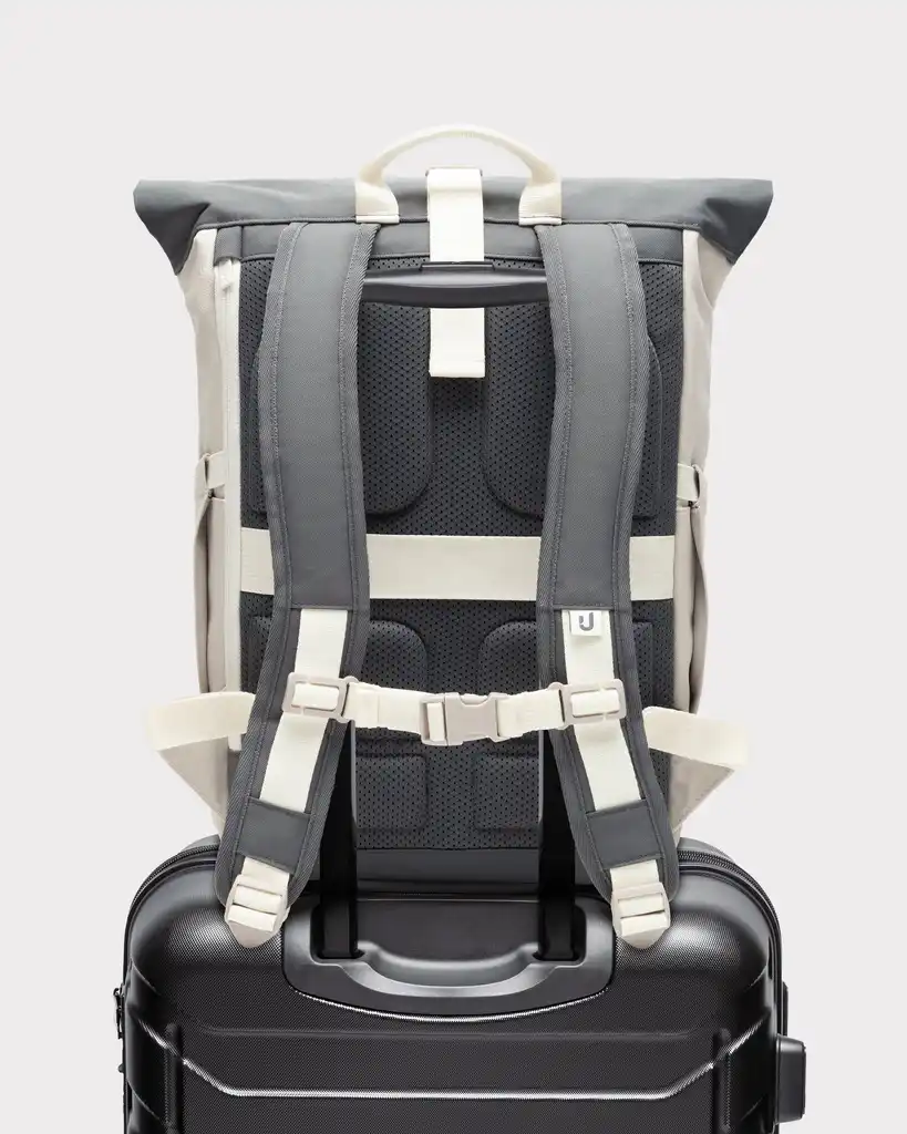 Rolltop Backpack "Allen Medium 2.0"