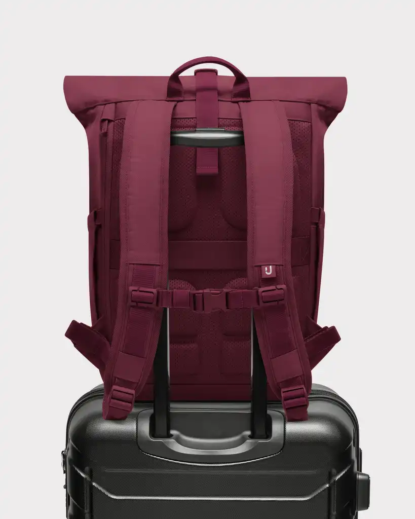 Roll-top Backpack "Allen Large 2.0"