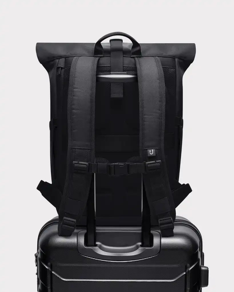 Rolltop Backpack "Allen Medium 2.0"
